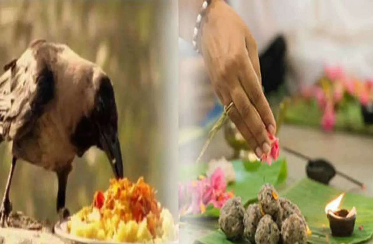 महालया अमावस्या 2020: अगर याद नहीं है पितरों की तिथि, तो इस दिन कर सकते हैं श्राद्ध