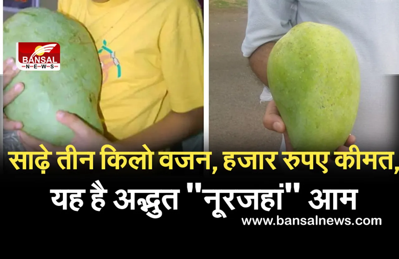 Breking News: साढ़े तीन किलो वजन, हजार रुपए कीमत, प्रदेश के इस जिले में होता है अद्भुत 