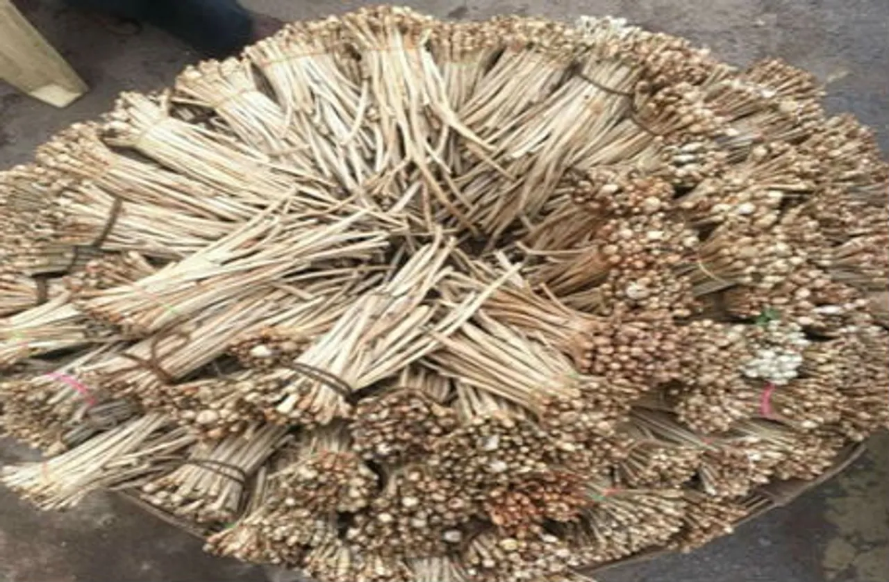 ये है दुनिया की सबसे महंगी सब्जी, कीमत सुनकर उड़ जाएंगे होश