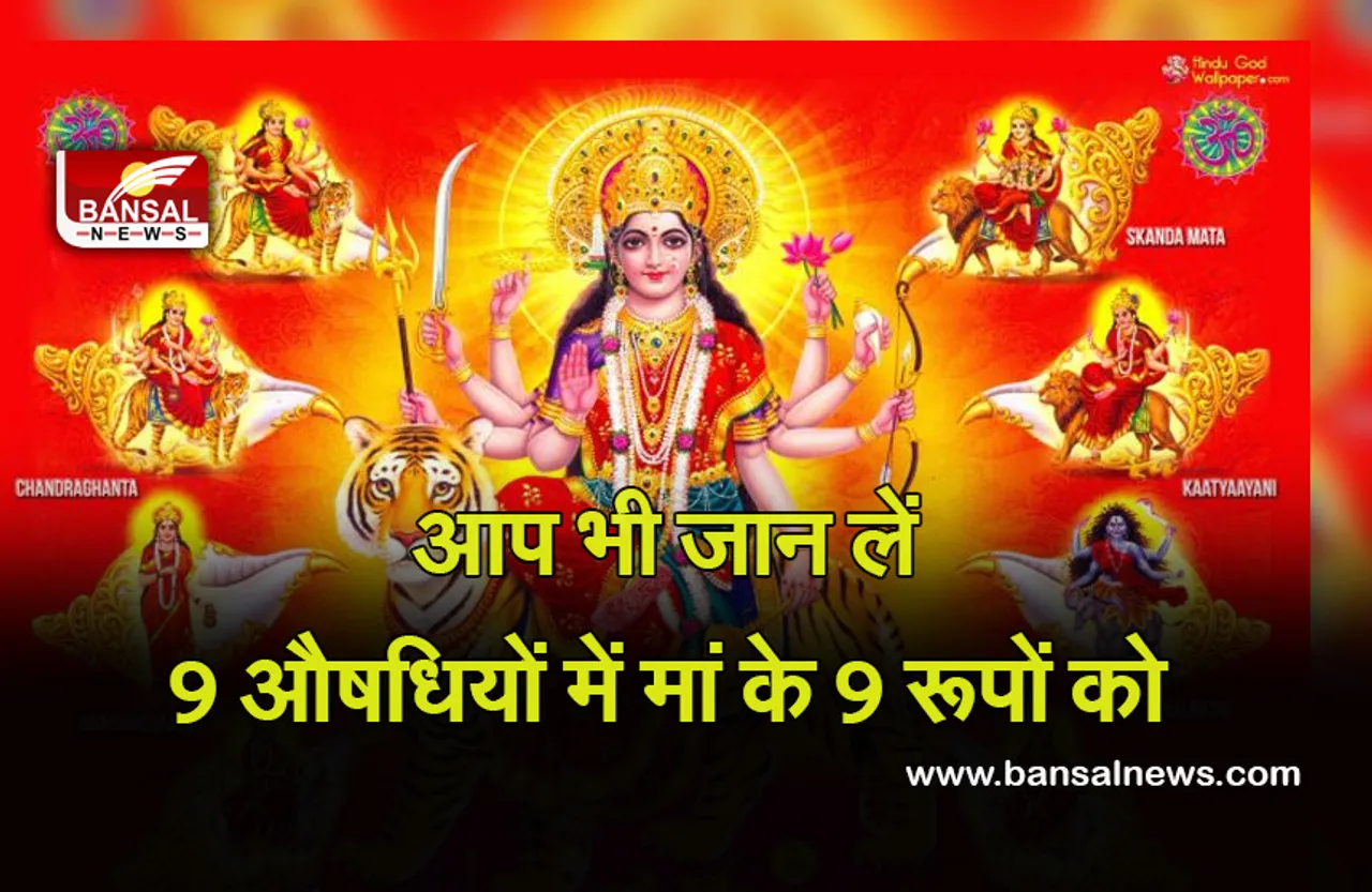 Chaitra Navratri 2022 : जानिए कौन सी हैं मां 9 रूपों की 9 औषधियां, रोगों के अनुसार करें ग्रहण