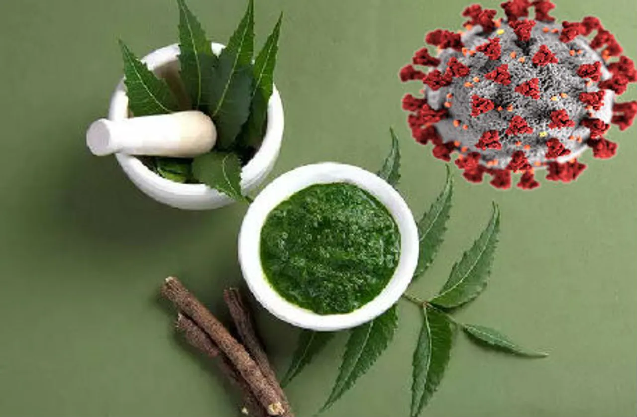 अब नीम से कोरोना का इलाज, कोरोना पर नीम के असर का ह्यूमन ट्रायल हो सकता है शुरु