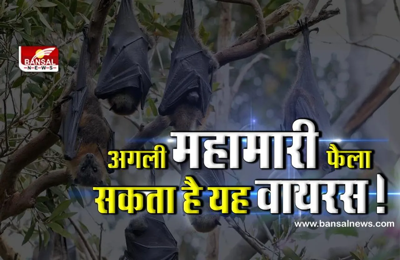 जानना जरूरी है: कोरोना के बाद इस वायरस से फैल सकती है महामारी!, शोध में चौंकाने वाले खुलासे