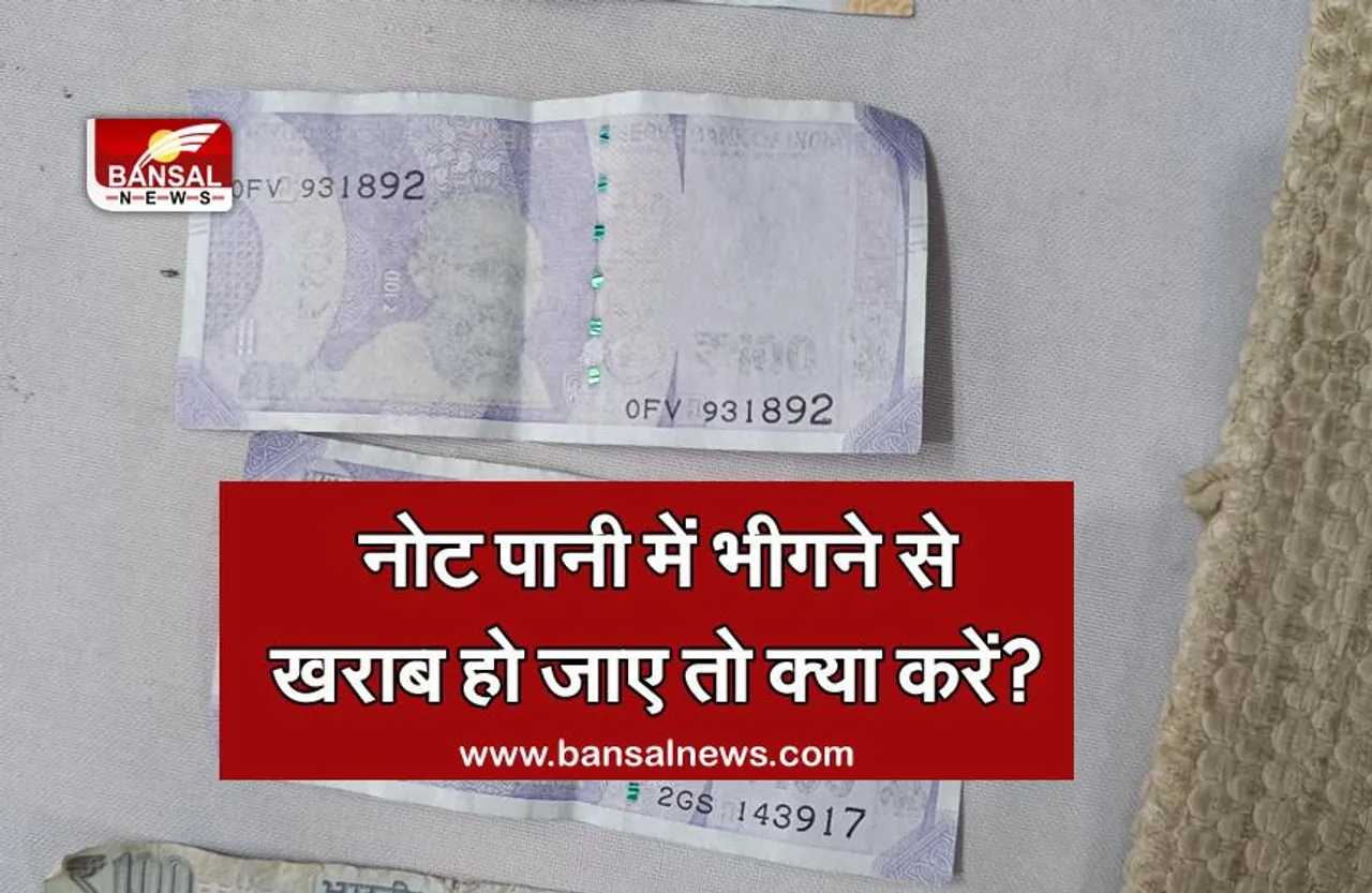 जानना जरूरी है: यदि कोई नोट पानी में भीगने से खराब हो जाता है, तो क्या बैंक उसे बदल देता है? जानिए RBI ने इस बारे में क्या कहा