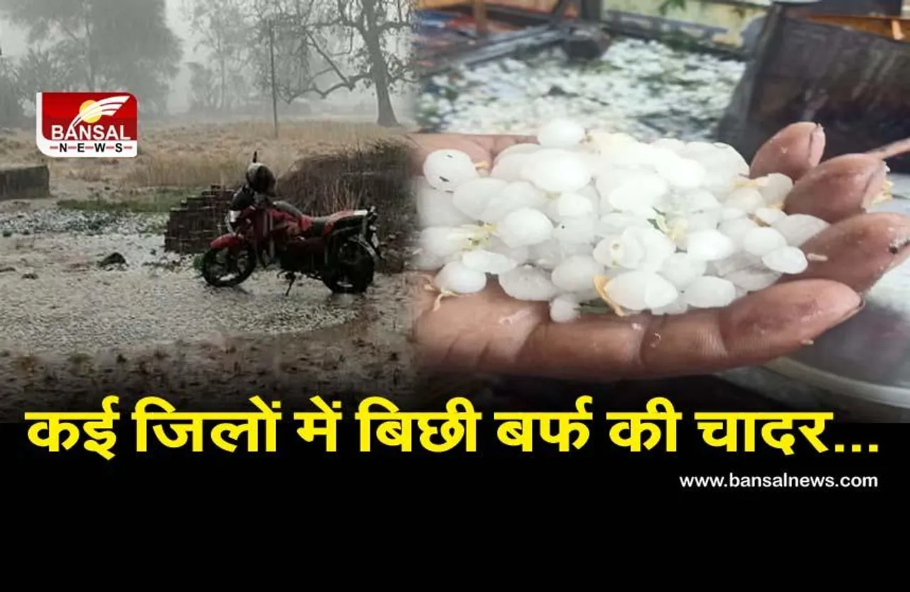 Weather Report MP: भोपाल, इंदौर और उज्जैन सहित कई जिलों में तेज हवाओं के साथ बारिश, यहां बिछी ओलों की चादर