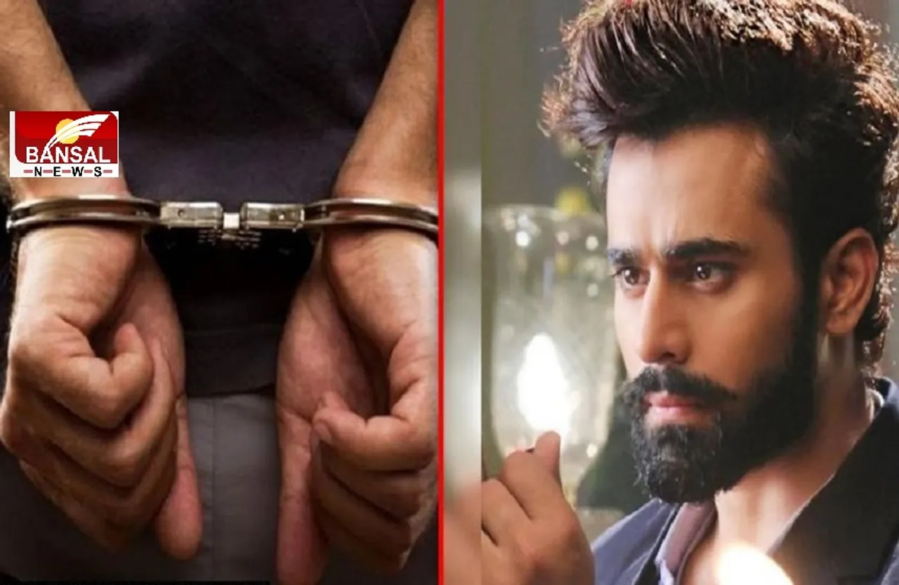 Pearl Puri Arrested: 'नागिन 3' फेम एक्टर पर्ल पुरी गिरफ्तार, नाबालिग से रेप और मोलेस्टेशन का लगा आरोप