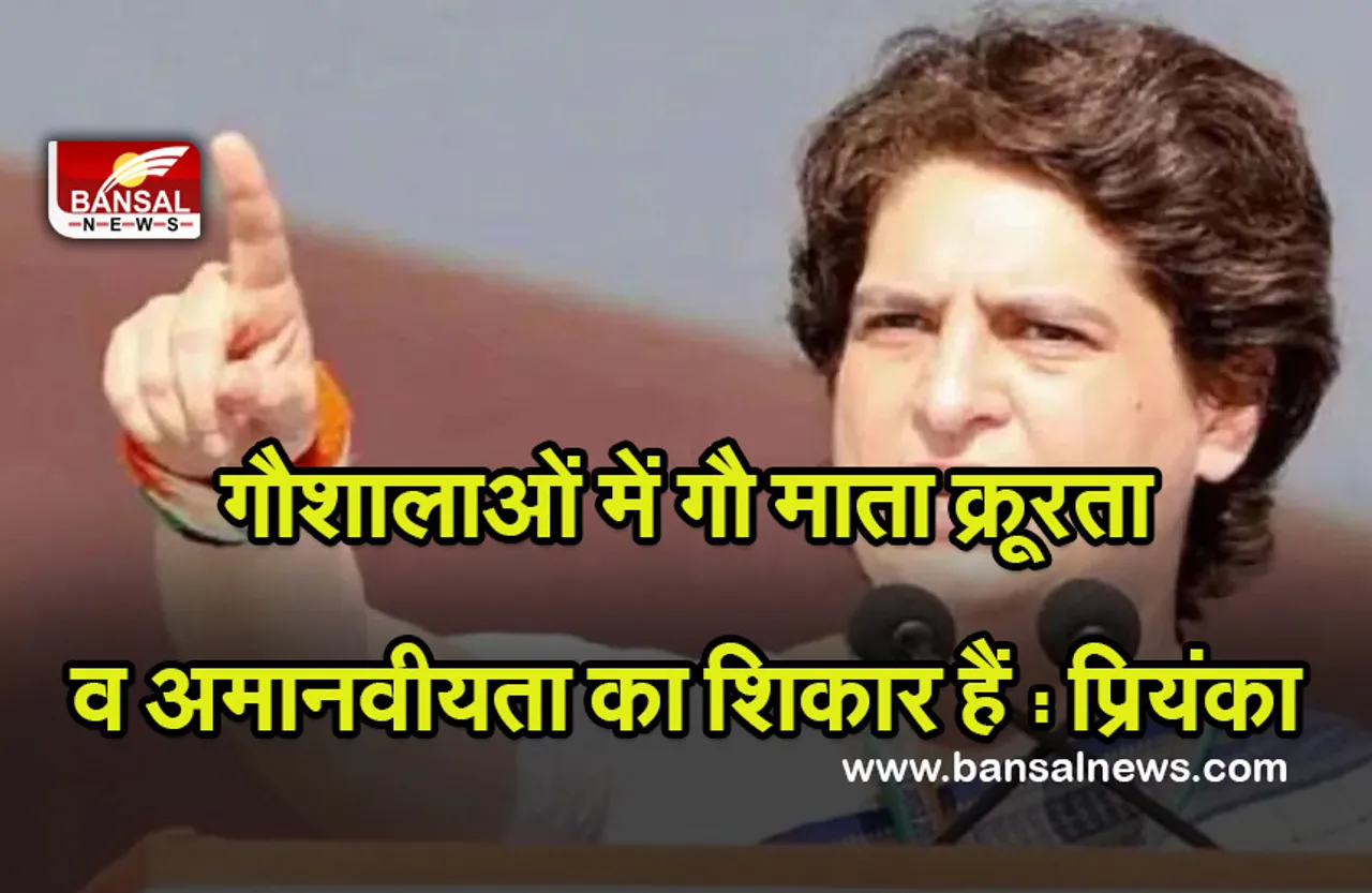 प्रियंका गांधी ने ‘गौशालाओं की दुर्दशा’ को लेकर योगी आदित्यनाथ पर साधा निशाना