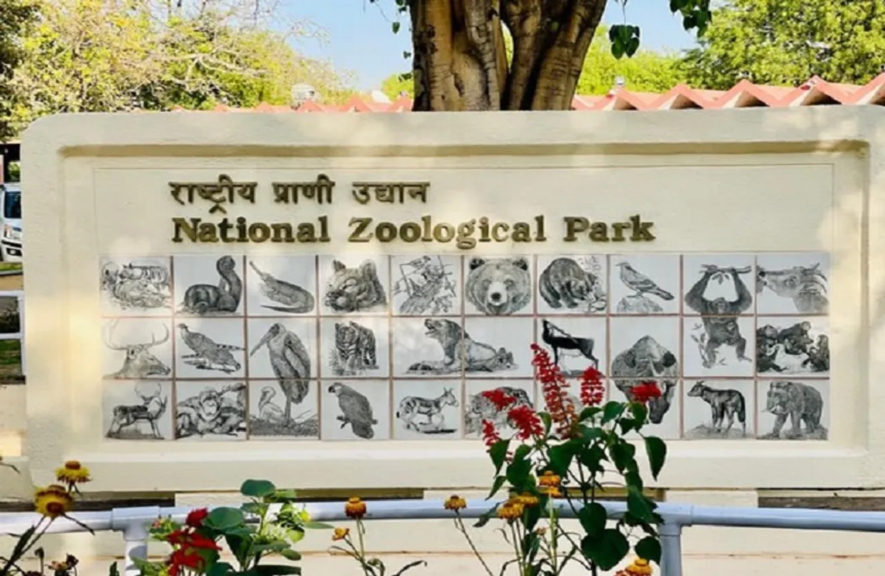 Zoo Reopen: साढ़े तीन महीने बाद खुला चिड़ियाघर , अब ऑनलाइन खरीदना होगा टिकट
