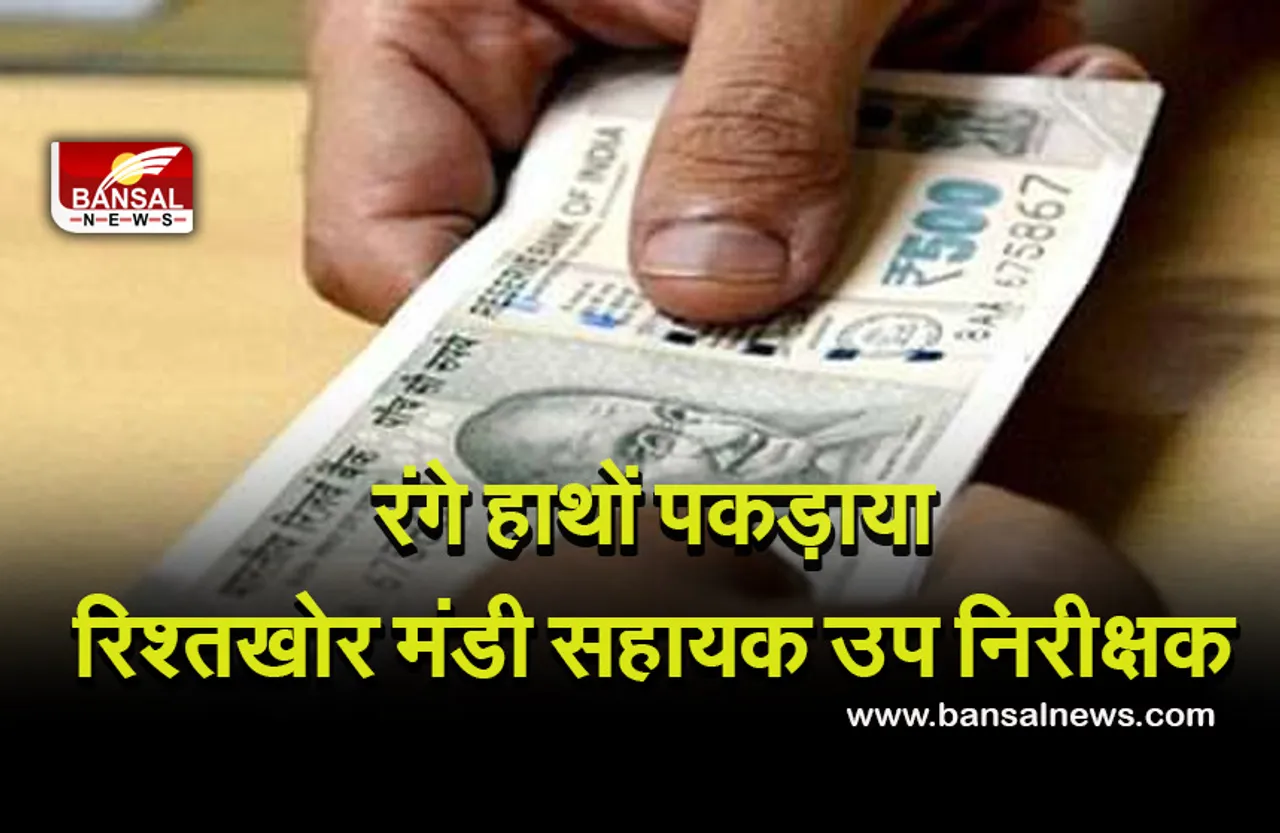Indore News: मंडी सहायक उप निरीक्षक 12 हजार की रिश्वत लेते रंगे हाथों पकड़ाया, कारोबारी से मांगे थे पैसे