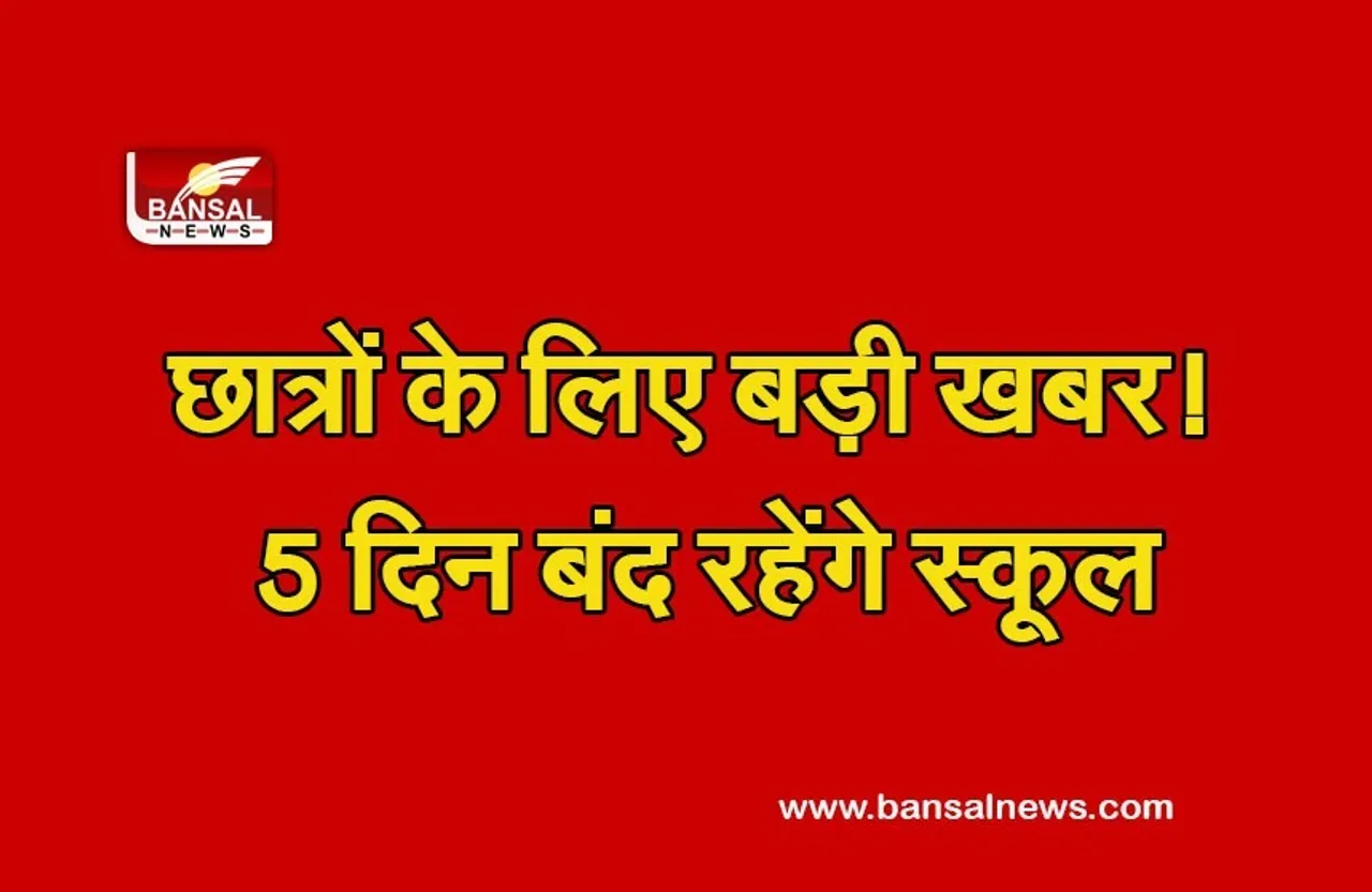 CG School holidays: बड़ी खबर! आज से 5 दिन जिले के स्कूलों में रहेगी छुट्टी,आदेश जारी
