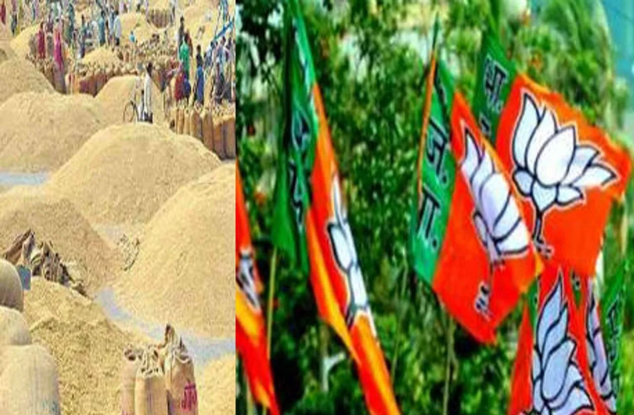 धान खरीदी को लेकर सरकार के खिलाफ BJP, 13 जनवरी को राज्य में करेगी जंगी प्रदर्शन