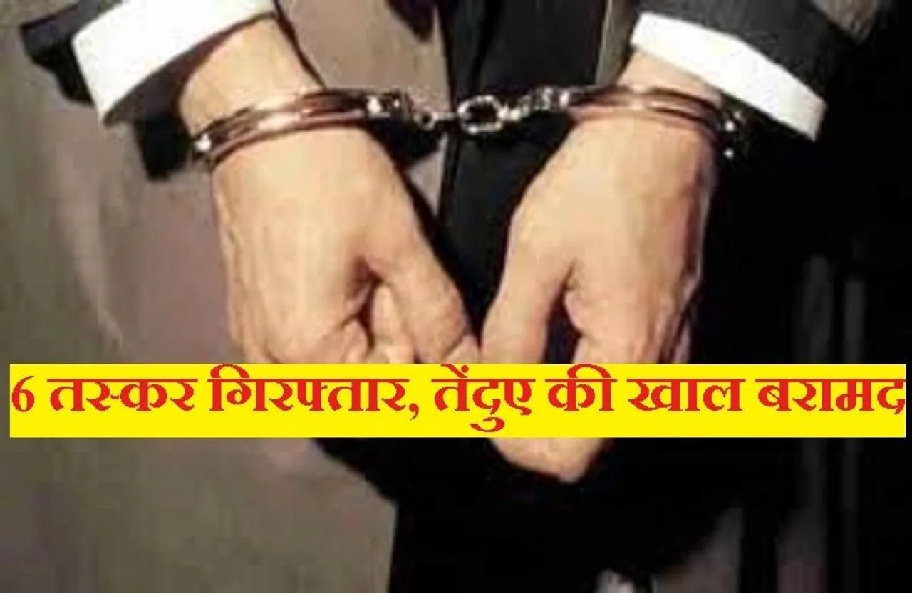 Taskar Gang: शिक्षकों के साथ मिलकर करते थे तस्करी, तेंदुए की खाल एवं नाखून के साथ 6 गिरफ्तार
