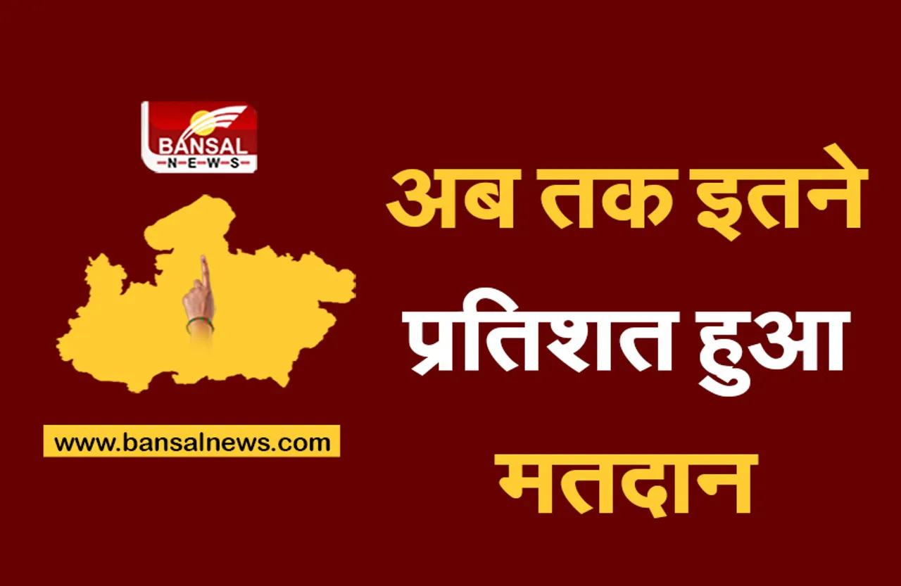 MP By Election: रैगांव में 33, जोबट में 29, पृथ्वीपुर में 34 प्रतिशत हुई वोटिंग, जानें क्या है मतदान की स्थिति