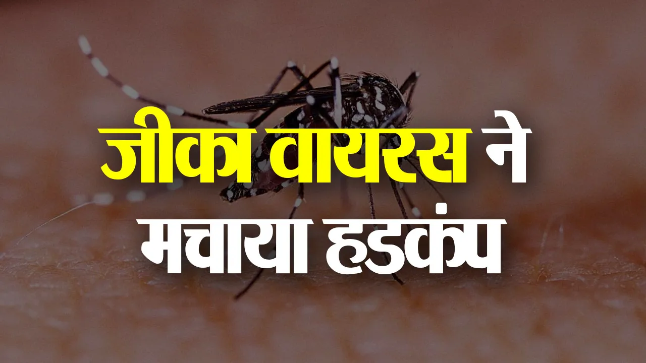 Zika Virus : जीका वायरस, दहशत में लोग, 30 केस एक साथ, 66 पहुंची संख्या