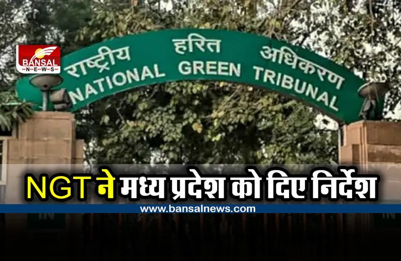 Green MP Compensation : मप्र से पर्यावरणीय क्षतिपूर्ति लेने के मामले में राष्ट्रीय हरित अधिकरण का निर्देश
