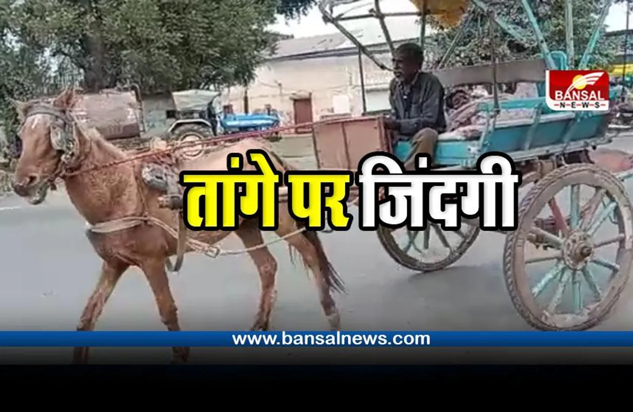 Burhanpur News : बुजुर्ग दंपती की परेशानी; बूढ़े घोड़े और पुराने तांगे के साथ जिंदगी की जंग जीतने की जद्दोजहद