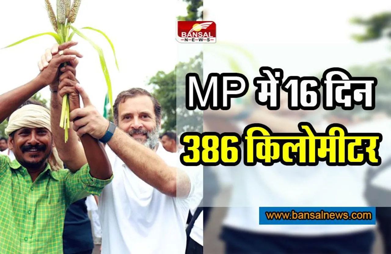 Bharat Jodo Yatra in MP : 16 दिन में 386 किलोमीटर की यात्रा, राहुल गांधी का यह है कार्यक्रम
