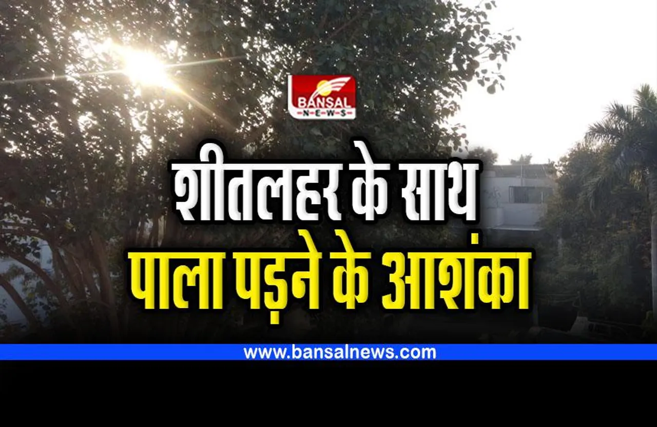 MP Cold Weather News : शीतलहर के साथ ही पाला पड़ने के आशंका! ठिठुरा रही ठंड