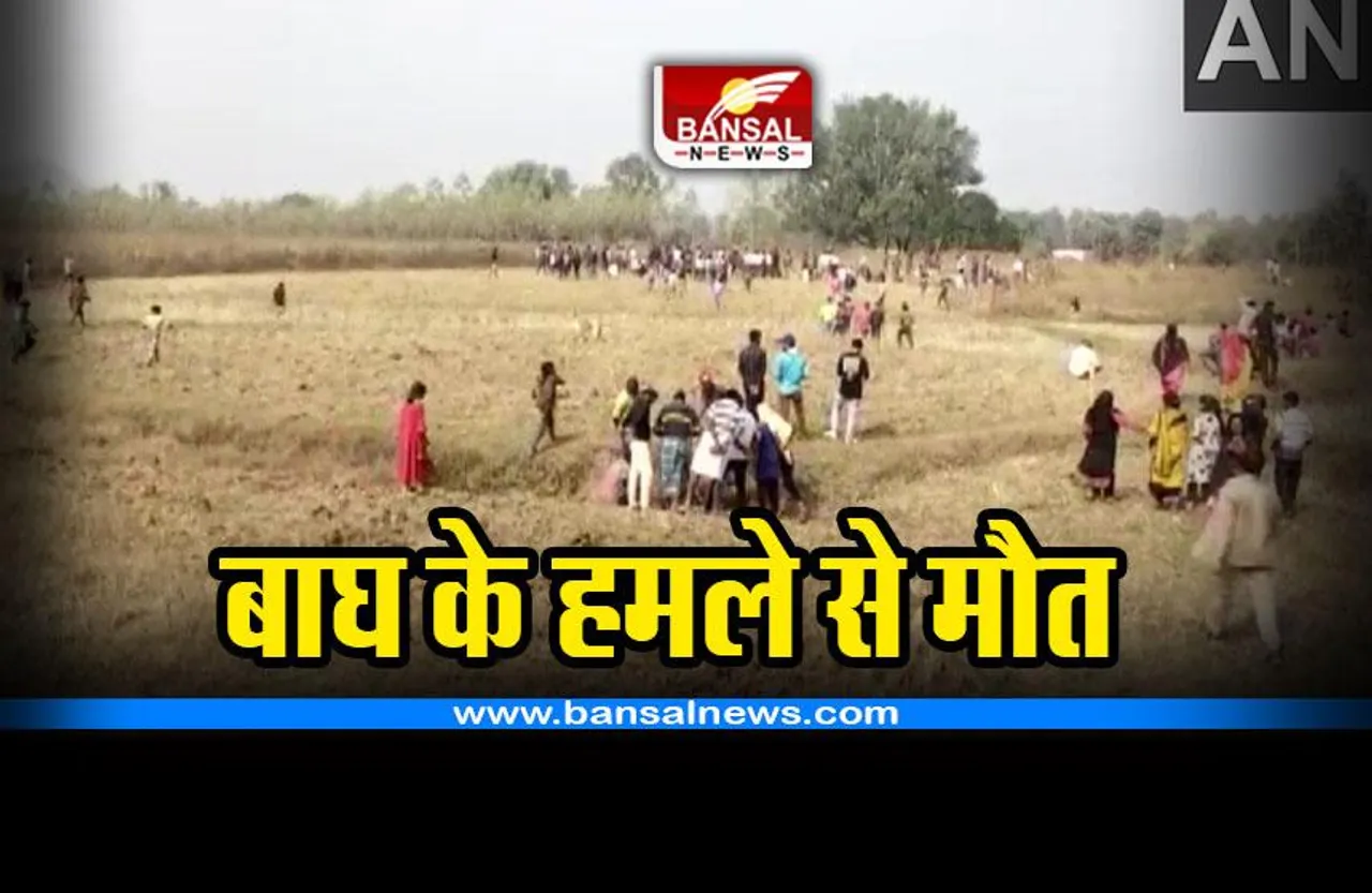 Chhattisgarh tiger attack : बाघ के हमले से व्यक्ति की मौत, जंगल में क्षत-विक्षत मिला शव