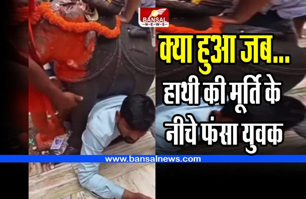 MP News : हाथी की मूर्ति के नीचे फंस युवक, वीडियो वायरल