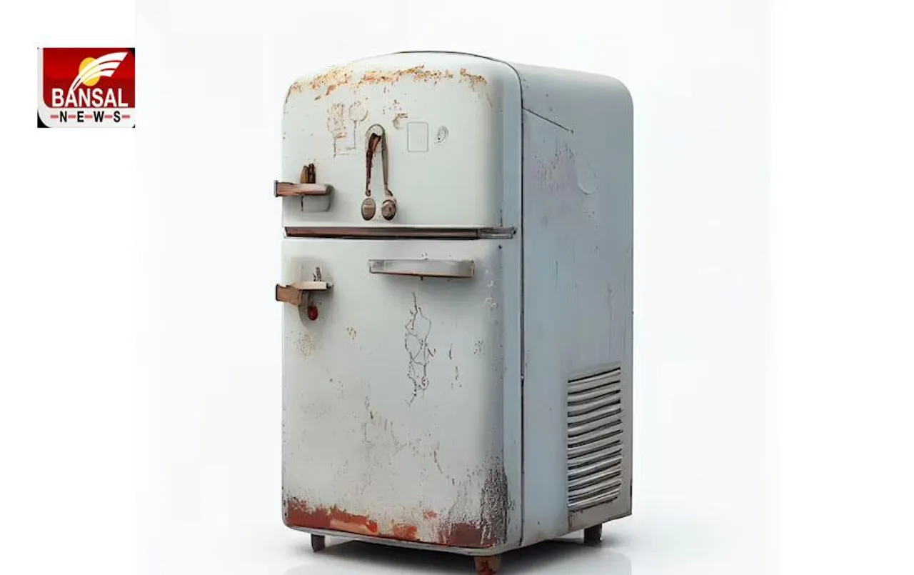 Refrigerator Hacks: दो हजार रुपये खर्च करने पर नए जैसा कूलिंग करेगा आपका पुराना फ्रिज, करना होगा ये बदलाव