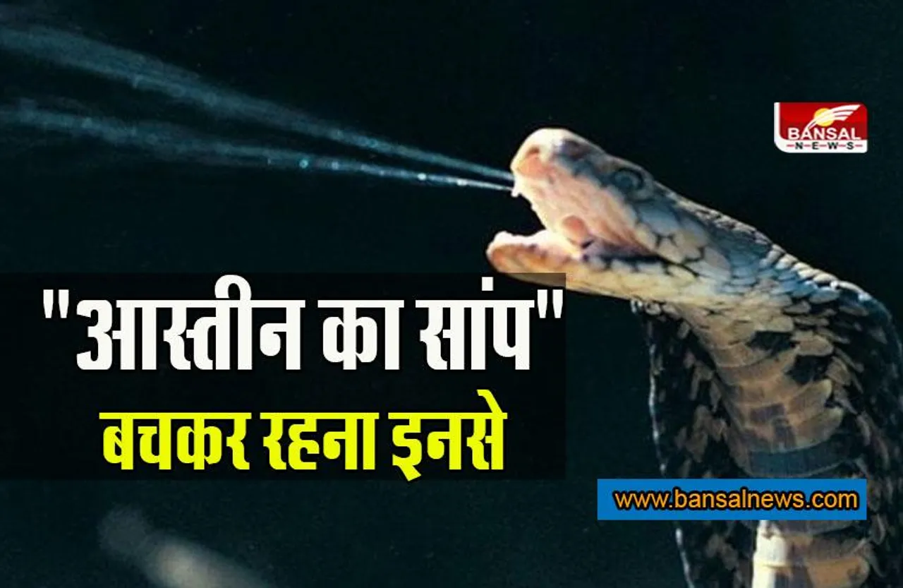 Snake Interesting Fact: इसीलिए कहा जाता है 
