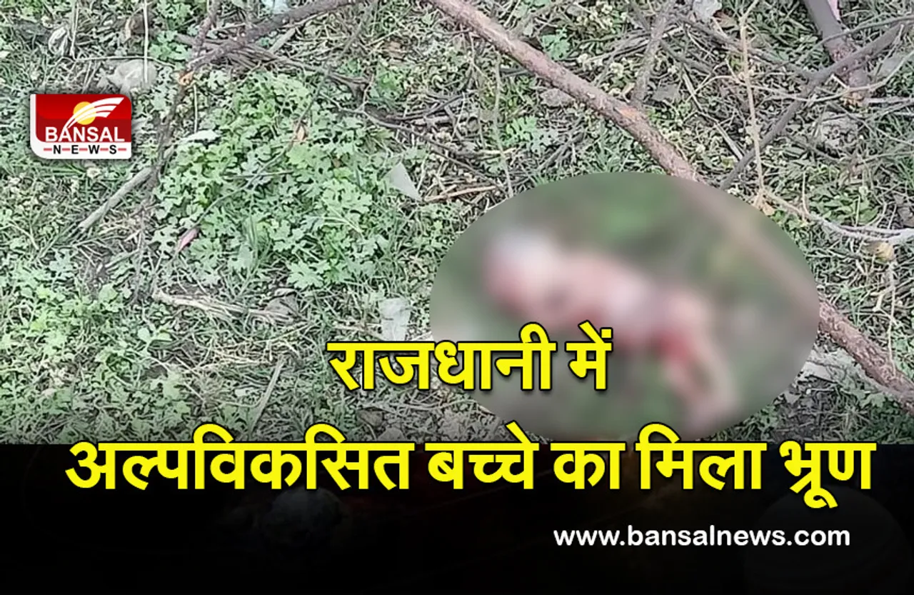 Bhopal News: बैरागढ़ में अल्पविकसित बच्चे का भ्रूण मिला, जांच में जुटी पुलिस