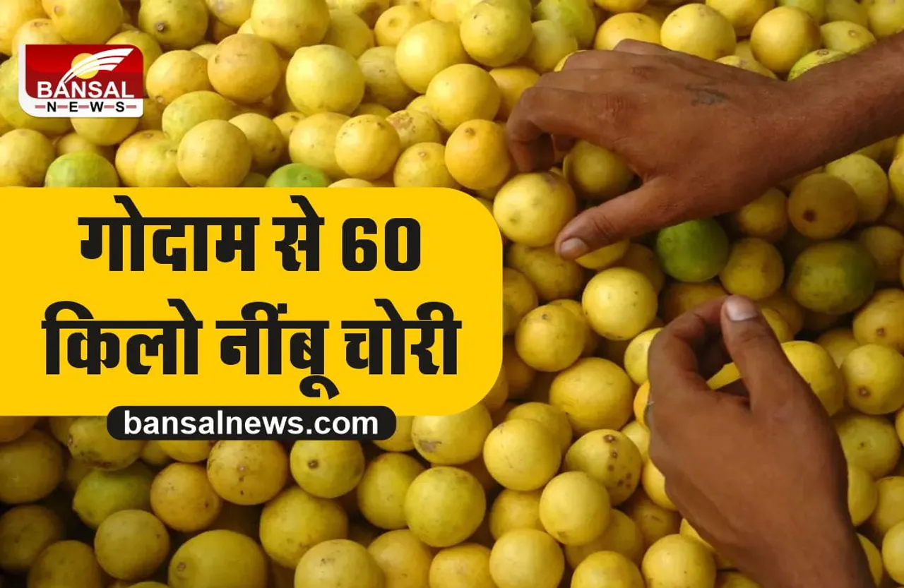 अब नींबू को मिलेगी Z+ सुरक्षा? चोर ले उड़े 60 किलो नींबू