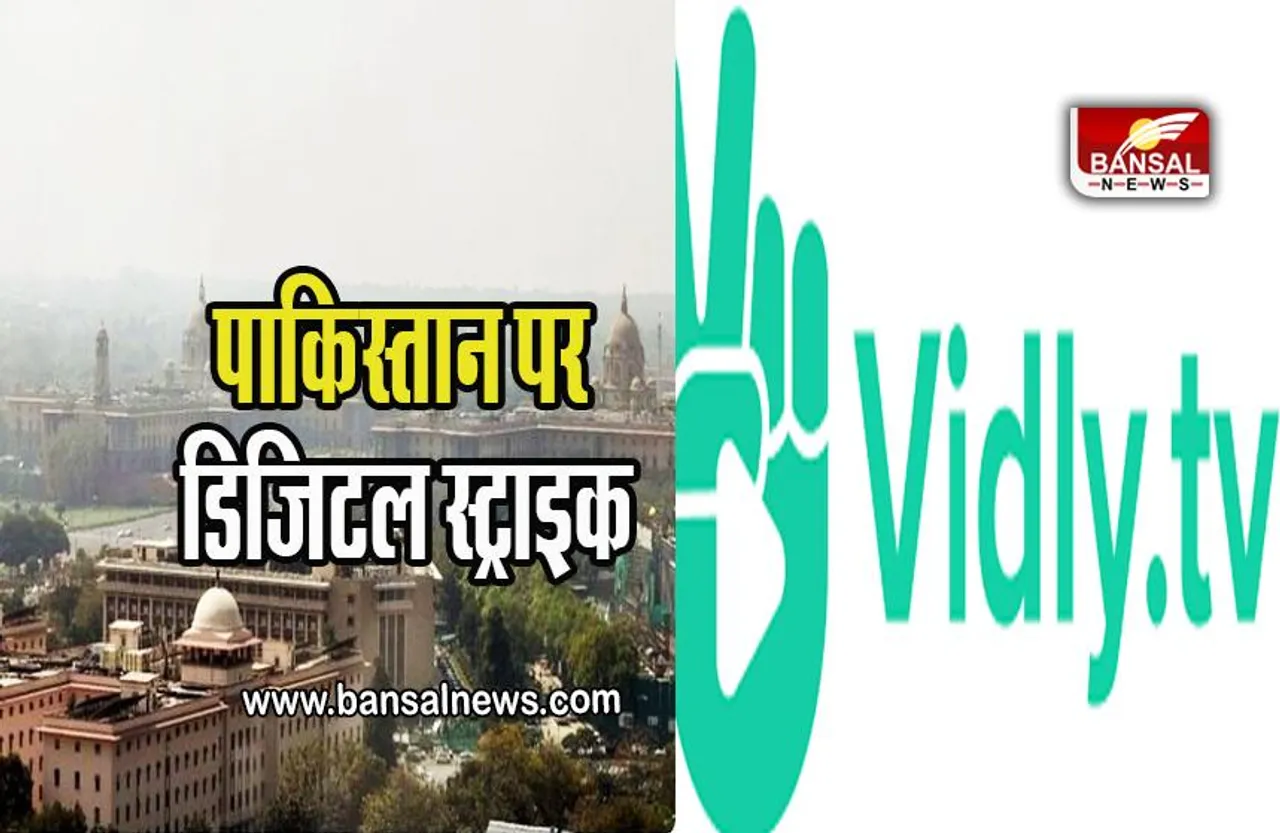 Action On Pakistan Platforms: पाकिस्तानी ओटीटी प्लेटफॉर्म Vidly TV पर भारत सरकार का एक्शन, लगाया बैन