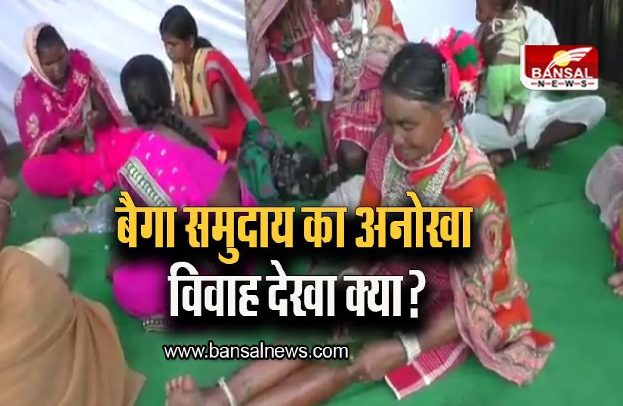 Unique Wedding: बैगा समुदाय का अनोखा विवाह देखा क्या? जो दहेज प्रथा से है कोसों दूर