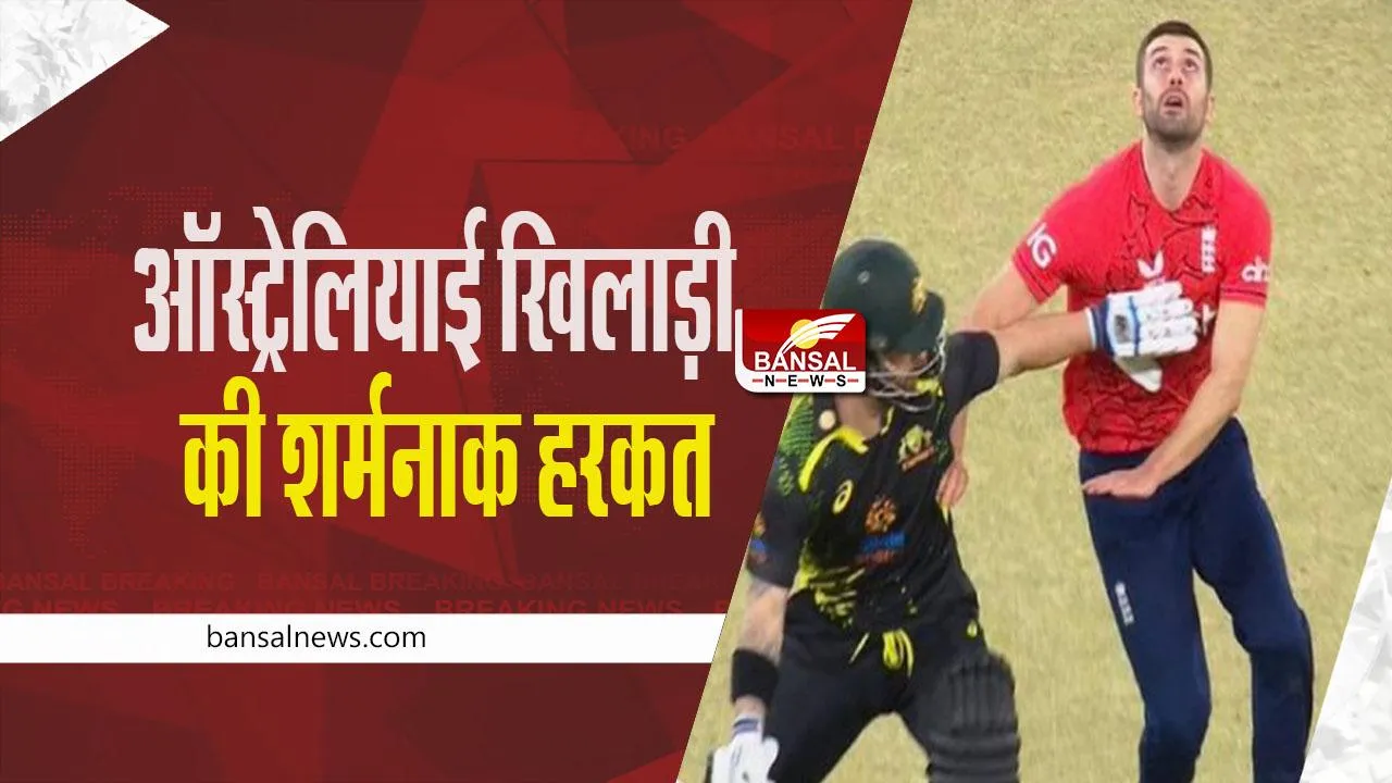 Matthew Wade-Mark Wood: ऑस्ट्रेलिया- इंग्लैंड टी-20 मैच के दौरान ऑस्ट्रेलियाई खिलाड़ी ने की शर्मनाक हरकत, देखें वीडियो