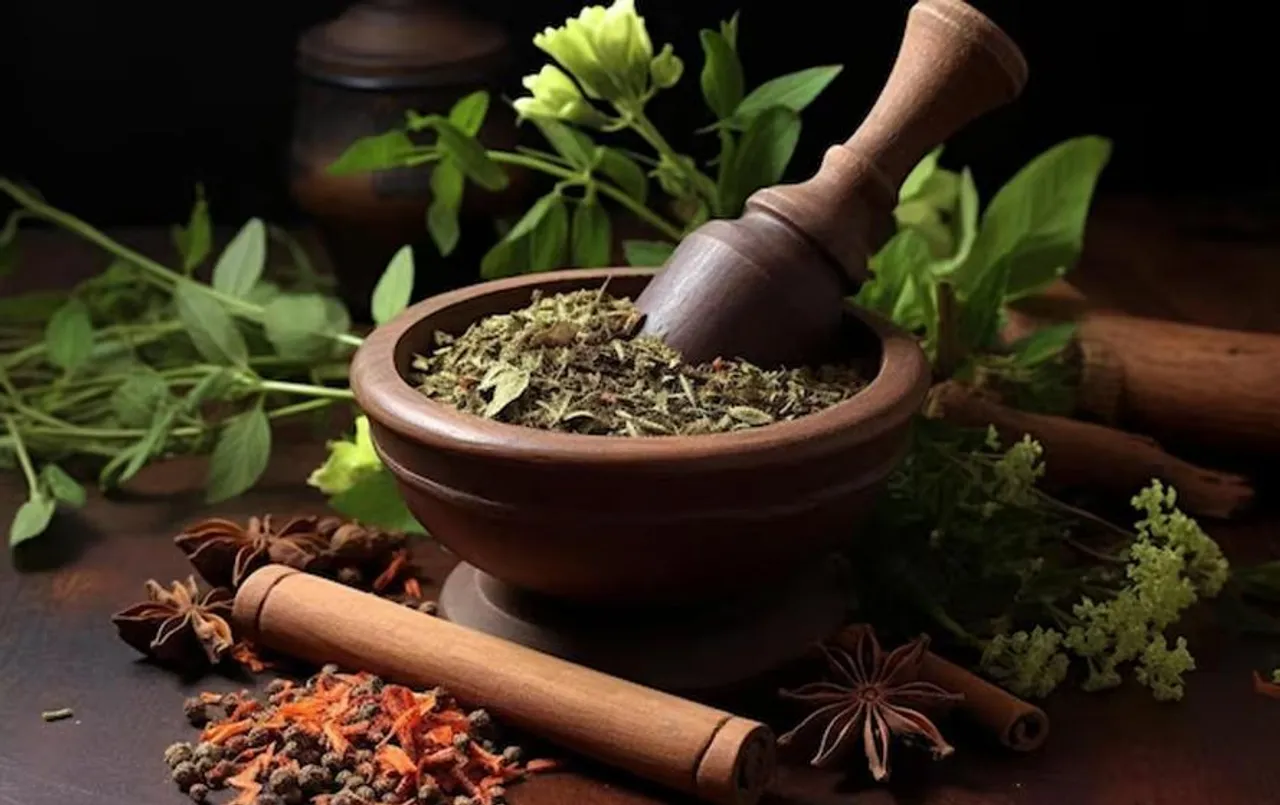 Health Tips: बदलते मौसम के साथ बढ़ गया संक्रमण का खतरा, इन आयुर्वेदिक हर्ब्स से इन्यूनिटी करें बूस्ट