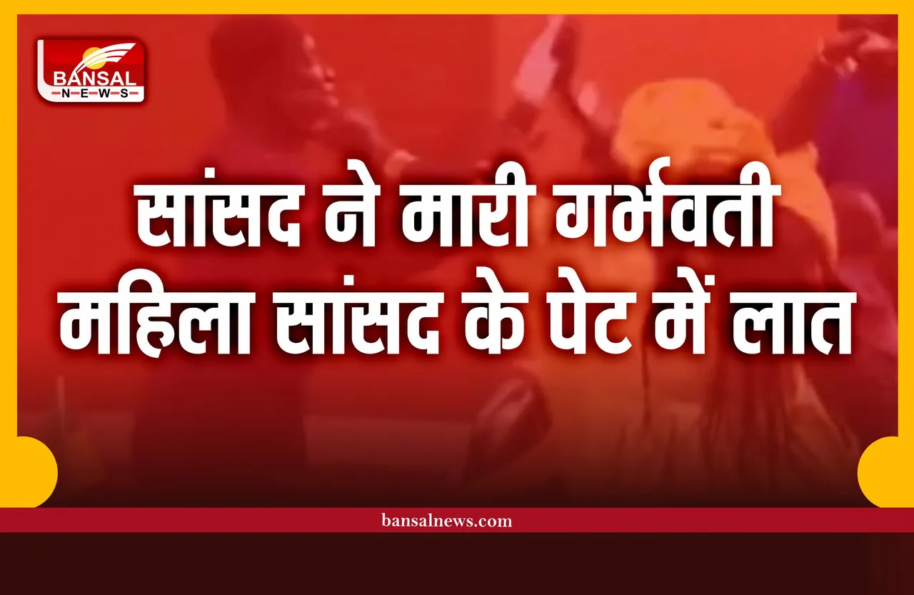 सदन में सांसद ने मारी गर्भवती महिला सांसद के पेट में लात, पढ़िए पूरी खबर