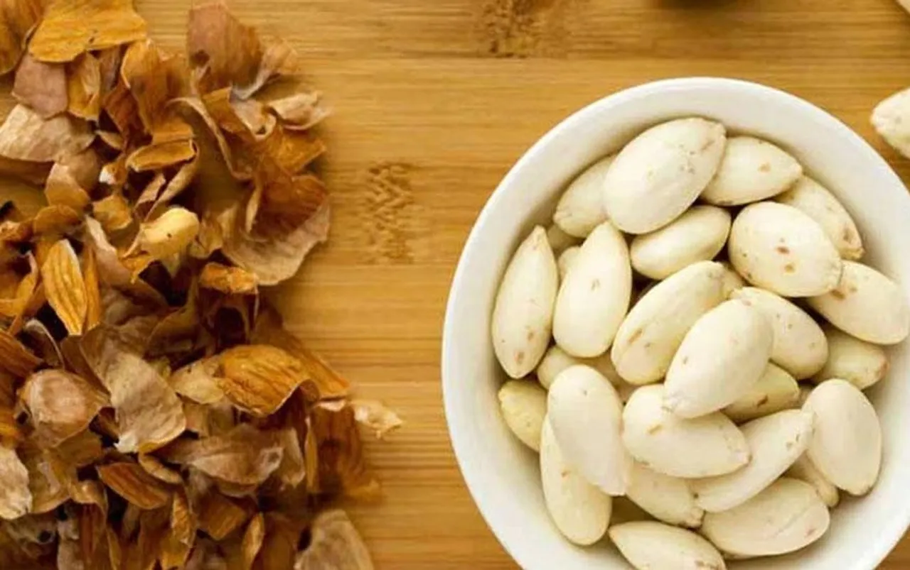 Almond Peels Benefits: कचरा समझकर न फेकें बादाम का छिलका, इन 4 तरीकों से करें इस्तेमाल, मिलेंगे फायदे