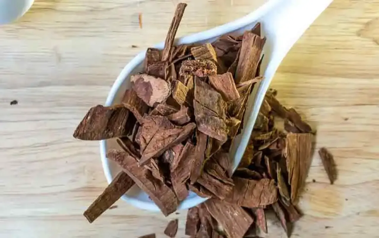 Ayurvedic Arjun ki Chhal: इन पांच बीमारियों के लिए रामबाण है अर्जुन की छाल, कब और कैसे करें उपयोग