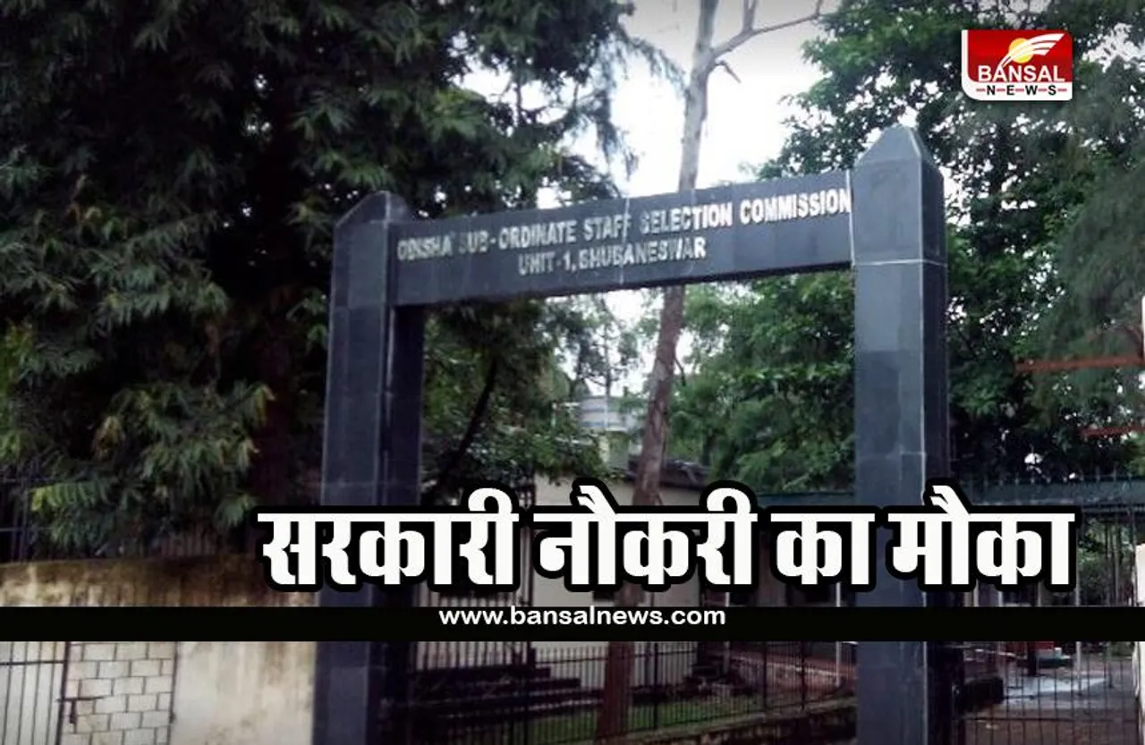 OSCC RECRUITMENT 2022: फोटोग्राफर्स केलिए सरकारी नौकरी का मौका, जानिए पूरी जानकारी