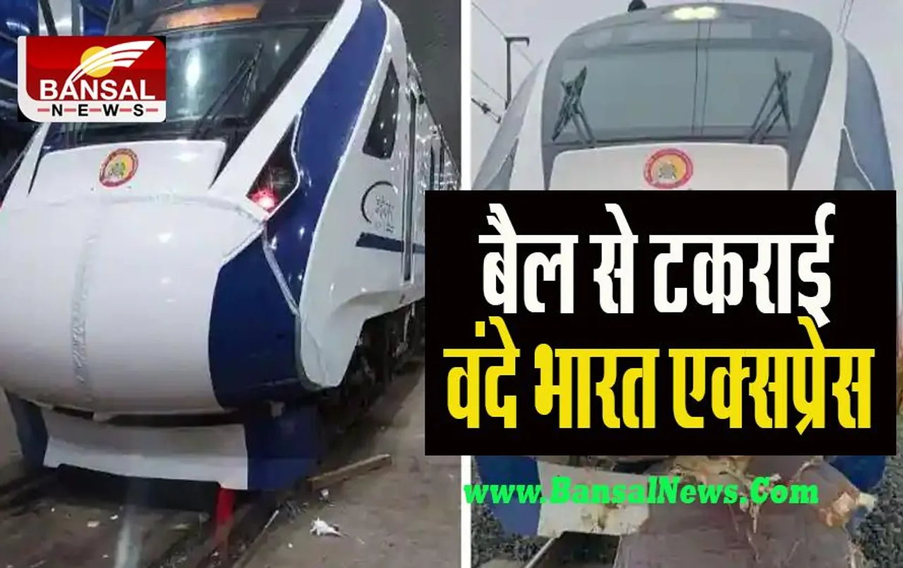 Vande Bharat Express : फिर हादसे का शिकार हुई देश की सबसे तेज ट्रेन ! सामने आया बैल, जानें पूरी घटना