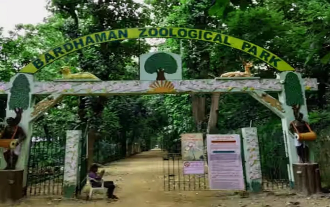 Bardhaman Zoo: बर्धमान चिड़ियाघर का होगा नवीनीकरण, लाए जाएंगे शेर और बाघ