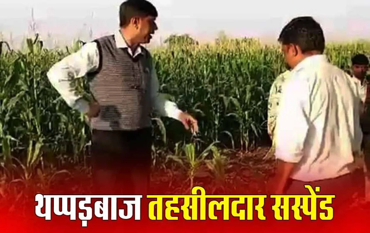 Barwani Tehsildar Suspended: किसान को थप्पड़ मारने वाला तहसीलदार सस्पेंड, वीडियो बनाने पर उठाया था हाथ