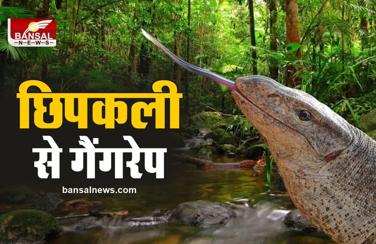 मानवता शर्मनाक : छिपकली के साथ गैंगरेप, 4 आरोपी गिरफ्तार