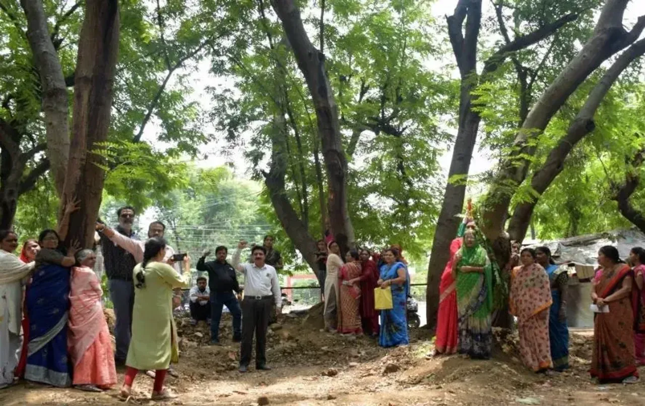 हरियाली बचाने आज बड़ा चिपको आंदोलन: हजारों पेड़ो को काटने का विरोध, भोपाल में जुटेंगे सैकड़ों लोग, बांधेंगे रक्षासूत्र
