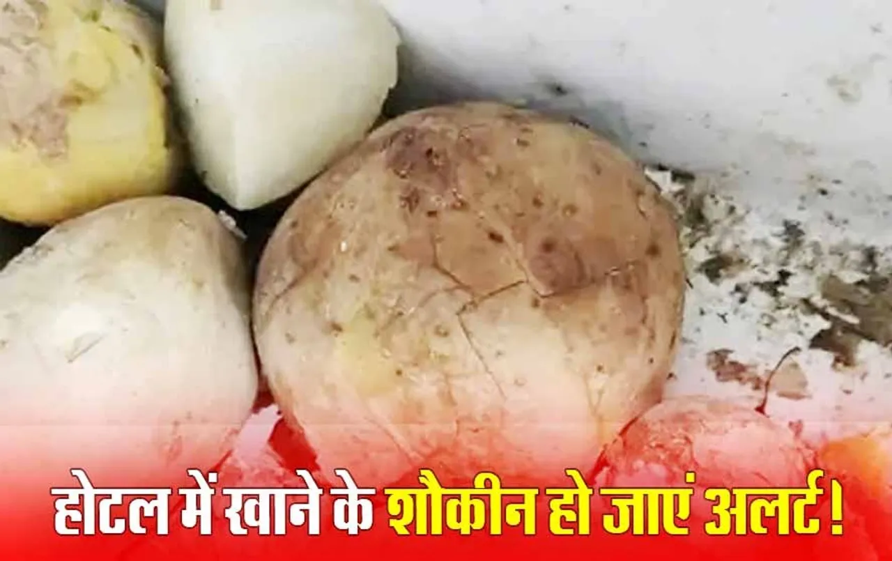 होटल में सड़ा खाना: भोपाल में फूड टीम को रेस्त्रां में‌ मिले फफूंद लगे आलू , इस भोजनालय में बेहिसाब गंदगी