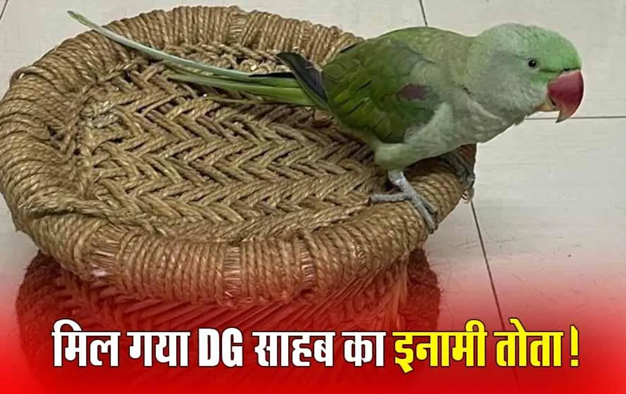 Bhopal News: स्पेशल DG के घर से गायब हुआ तोता रिटायर्ड ASI के घर की छत पर मिला, घोषित था 5 हजार का इनाम; जानिए पूरा मामला