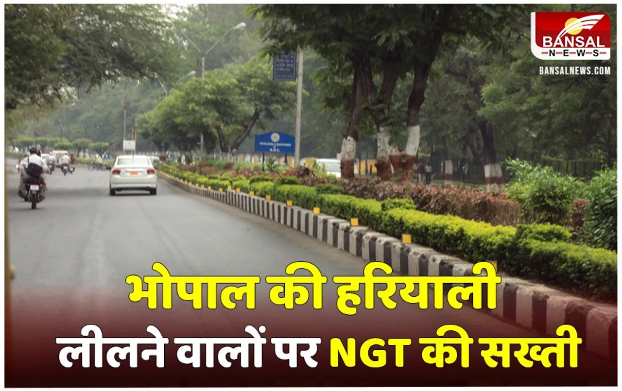 Bhopal NGT Order: राजधानी में हरियाली लीलने वालों पर होगी कार्रवाई, जानें कब तक हटेगा अतिक्रमण