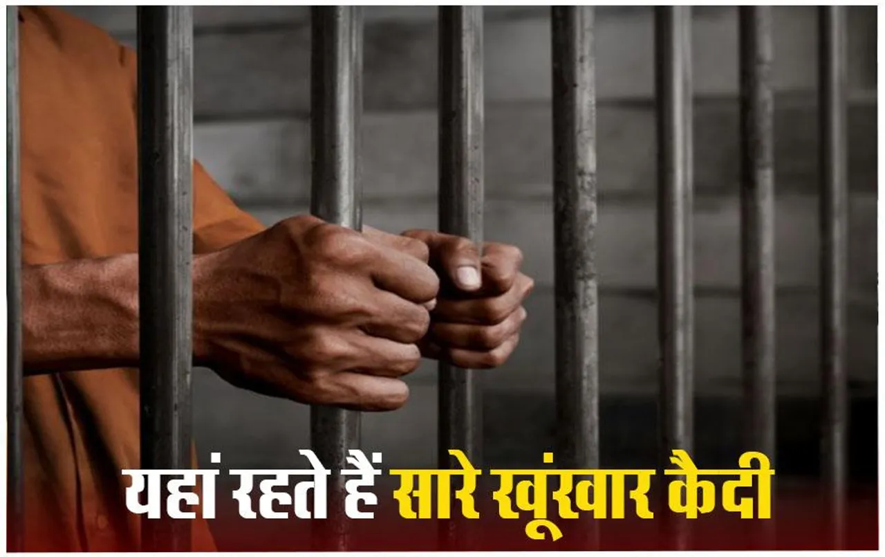 Biggest Jails of India: भारत की सबसे बड़ी जेल के बारे में जानिए, एक साथ रह सकते हैं इतने कैदी