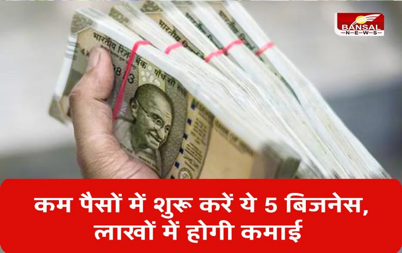 Business Ideas: कम बजट में शुरू करें ये 5 बिजनेस, लाखों में होगी कमाई