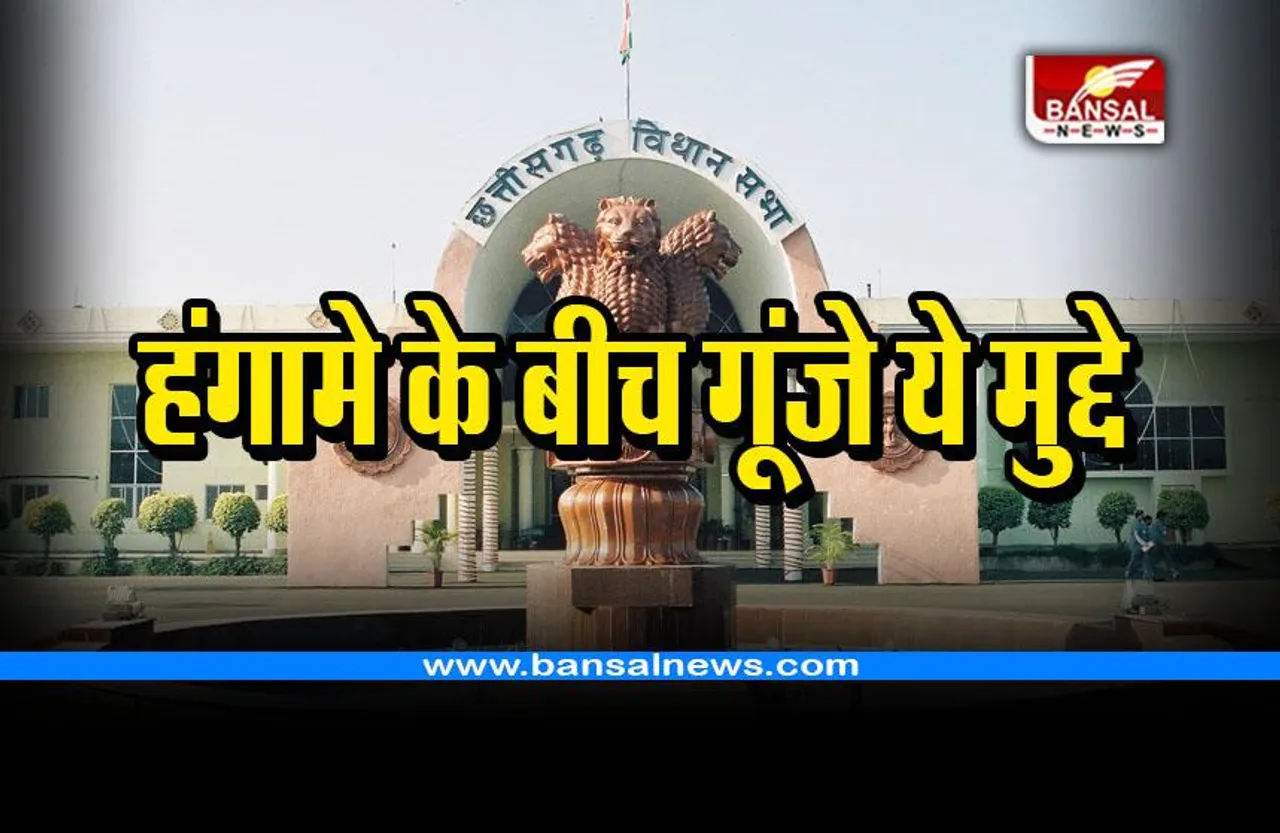 CG Budget session second day : हंगामे के बीच गूंजा धर्मांतरण और नक्सलवाद का मुद्दा