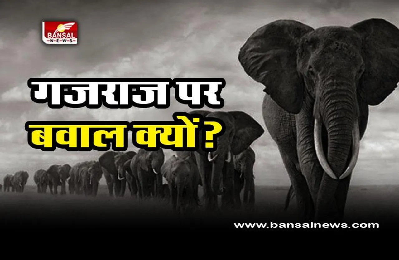 CG Gajraj scheme commotion : 