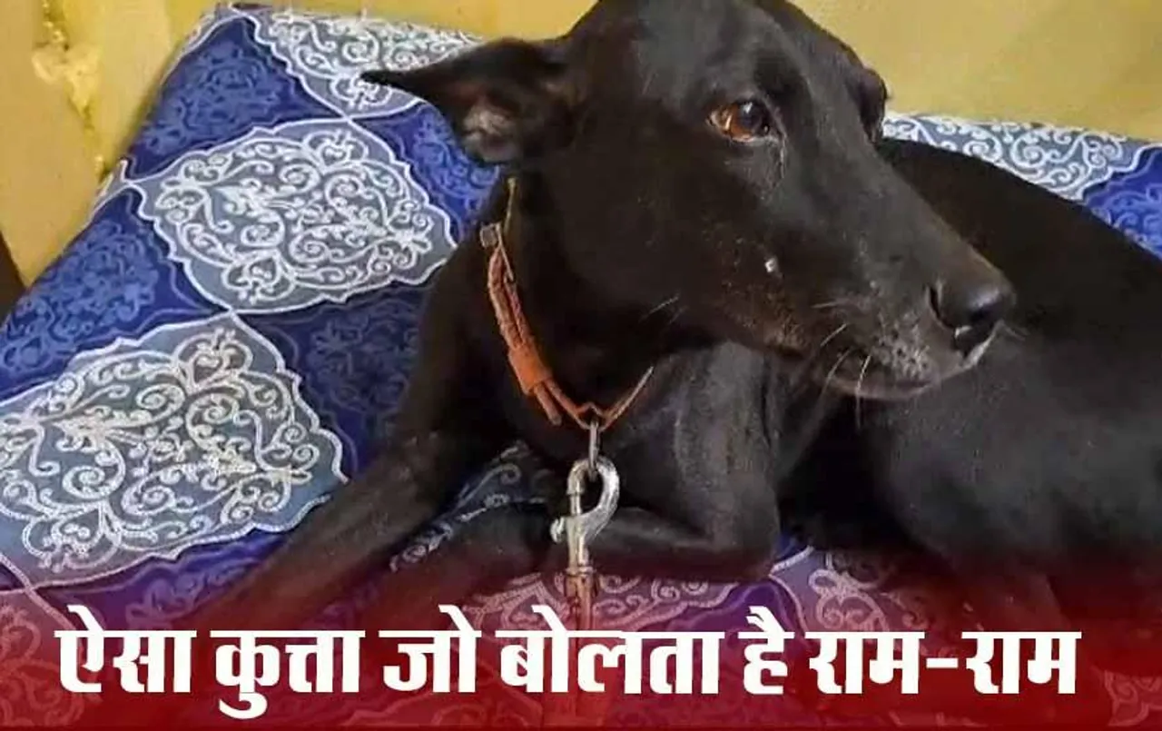 CG News: भिलाई का अनोखा डॉग, जपता है “राम-राम”, मालिक का दावा- एकादशी पर नहीं खाता मांस