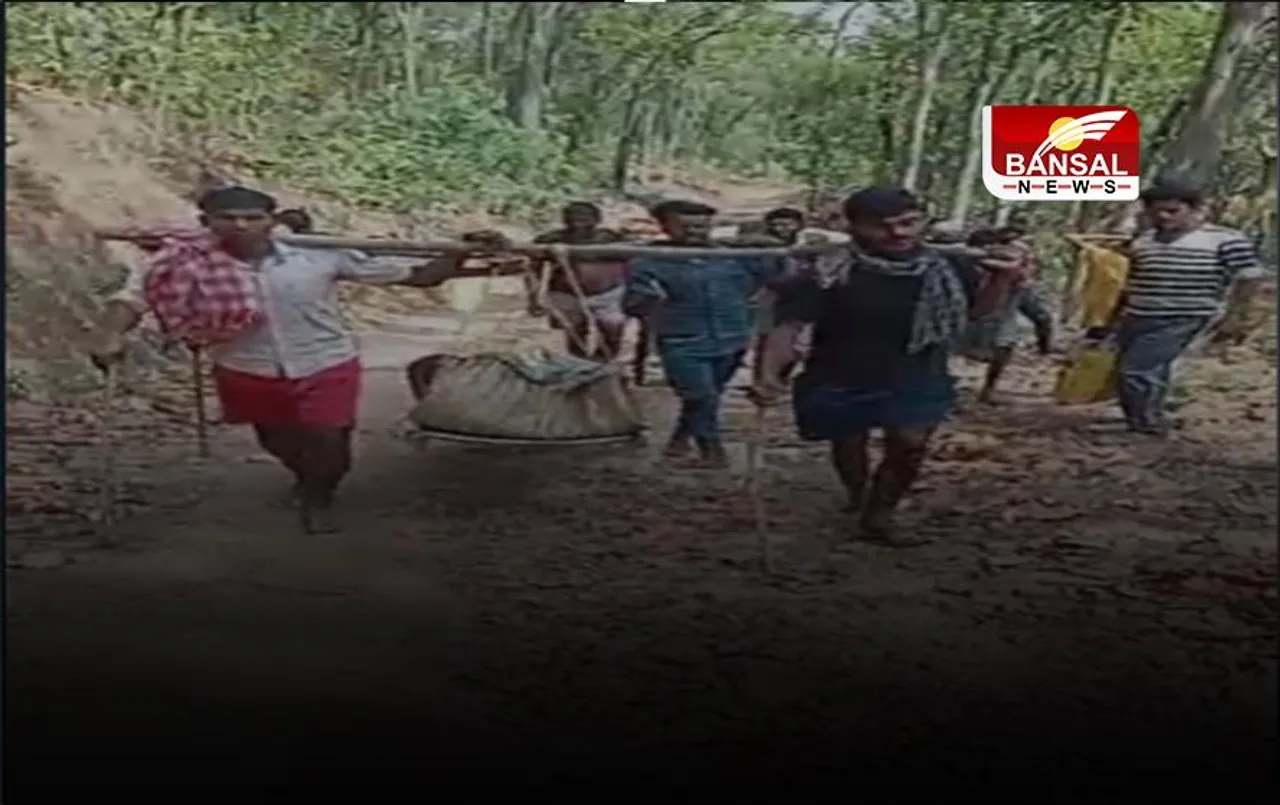 CG News: शव को खाट पर ले जाते ग्रामीणों का वीडियो वायरल, सरकार के विकास कार्यों की खुली पोल!