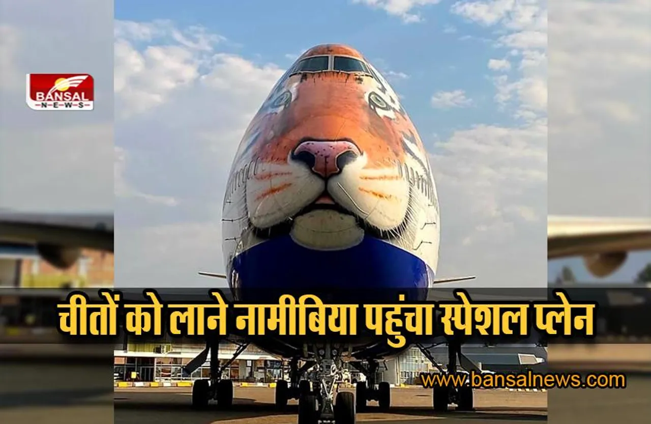 Cheetah news: विशेष विमान बी 747 जंबो जेट से जयपुर में उतरेंगे चीते, देखें विमान के नए लुक का वीडियो